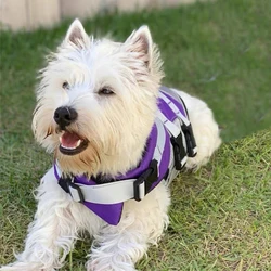 Chaleco salvavidas con asa y anillo de tracción para perros pequeños