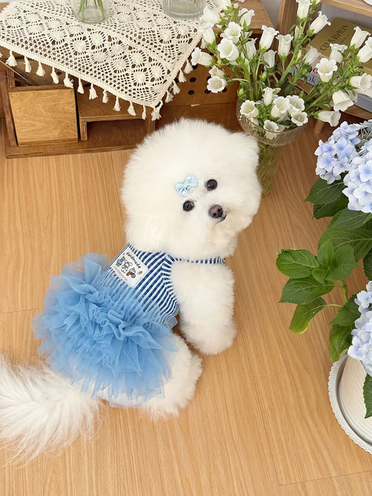 Perro pequeño luciendo el vestido tutú