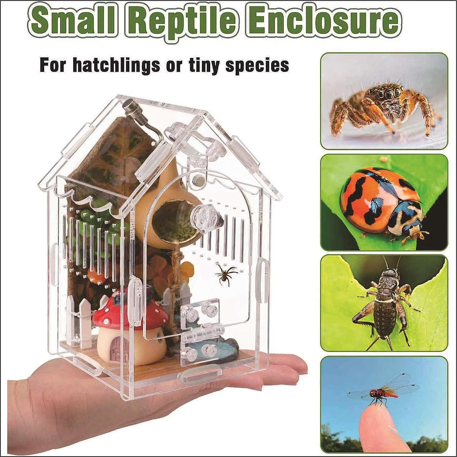 Terrario pequeño para reptiles: recinto ventilado con techo inclinado - imagen 2