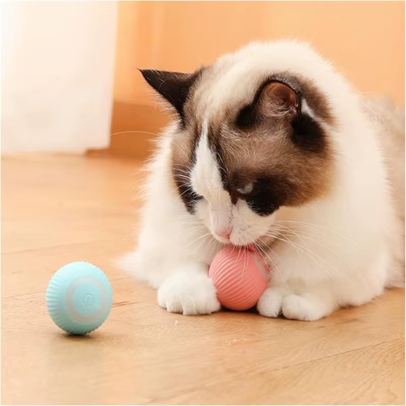 Pelota interactiva automática para gatos – Juguete rodante eléctrico - imagen 5