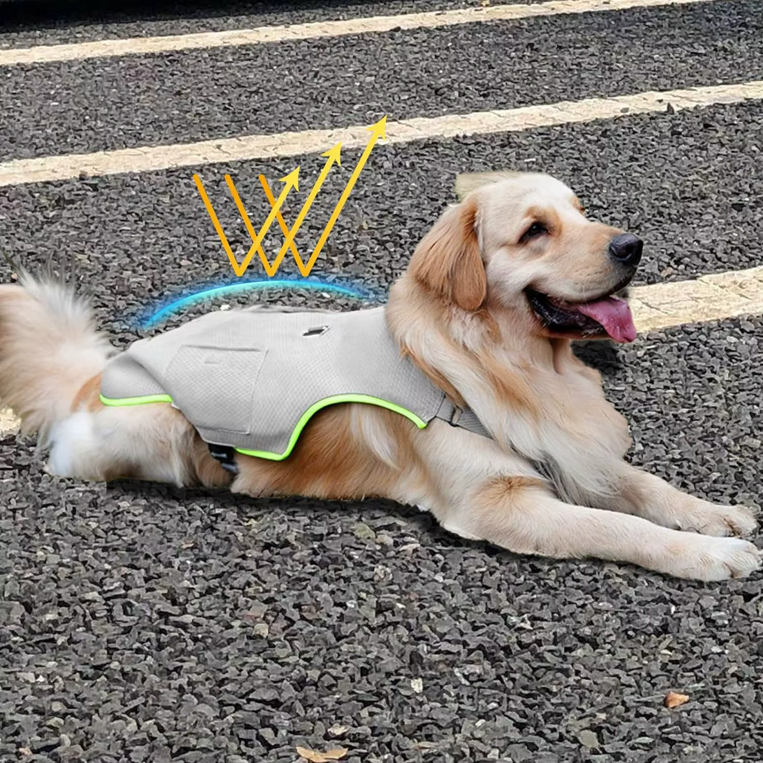 Chaleco Refrigerante Perros – Protección contra Calor con Bolsa Hielo