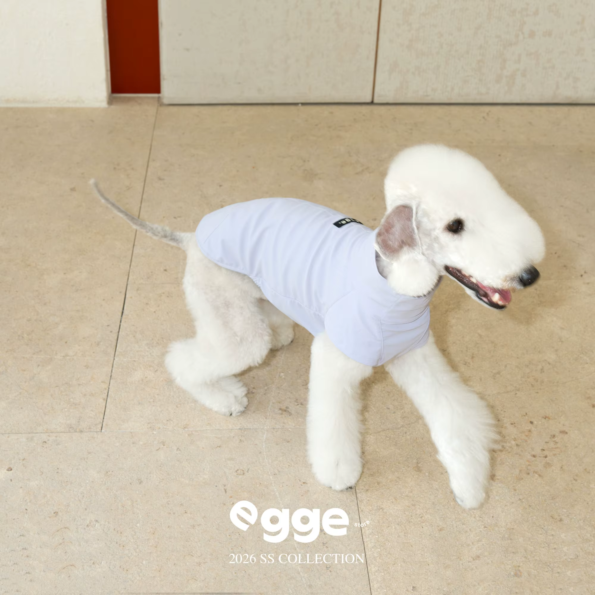 Chaleco refrigerante para galgos italianos y Whippets - imagen 3