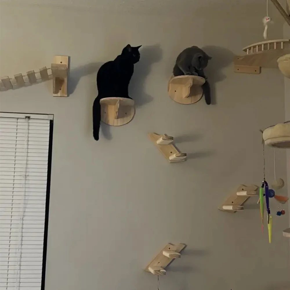 Diseño pared gatos