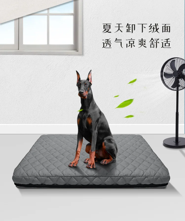 Cama para perro en uso en sala de estar