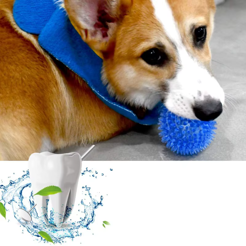 Pelota dental chirriante con púas para perros y gatos - imagen 2