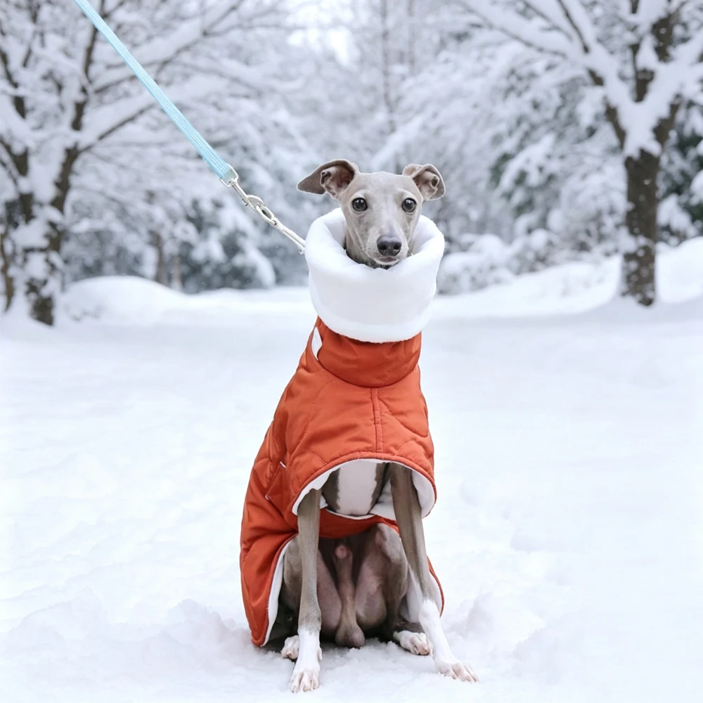 Abrigo invierno naranja algodón para perros medianos, Galgo y Whippet - imagen 2