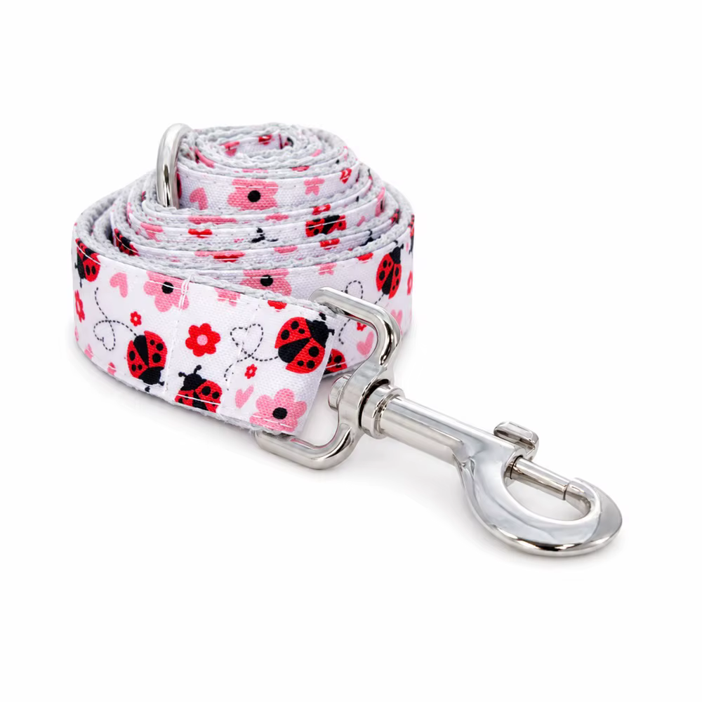 Collar de mariquita con grabado personalizado en el collar de tu mascota