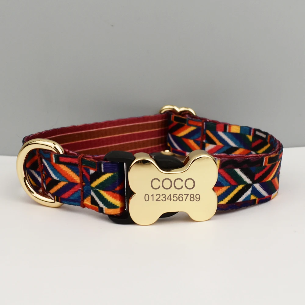 Perro usando collar y correa étnicos