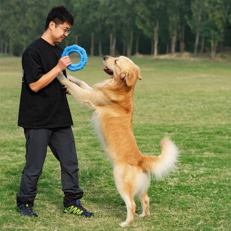 Juguete anillo flotante TPR resistente a mordidas para perros
