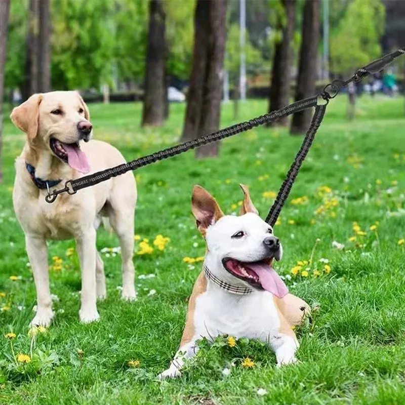 Correa doble elástica extensible para perros – paseo y entrenamiento - imagen 3