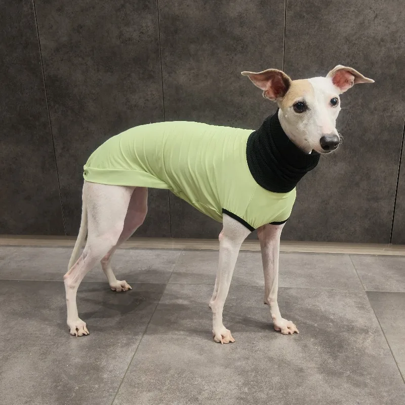 Chaleco transpirable con protección solar para perros Whippet y Galgo - imagen 5