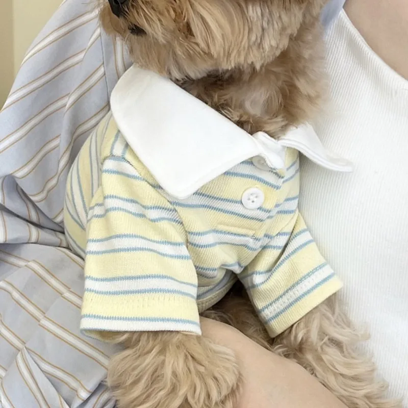 Camiseta polo de rayas para perro: refrescante de verano, Chihuahua