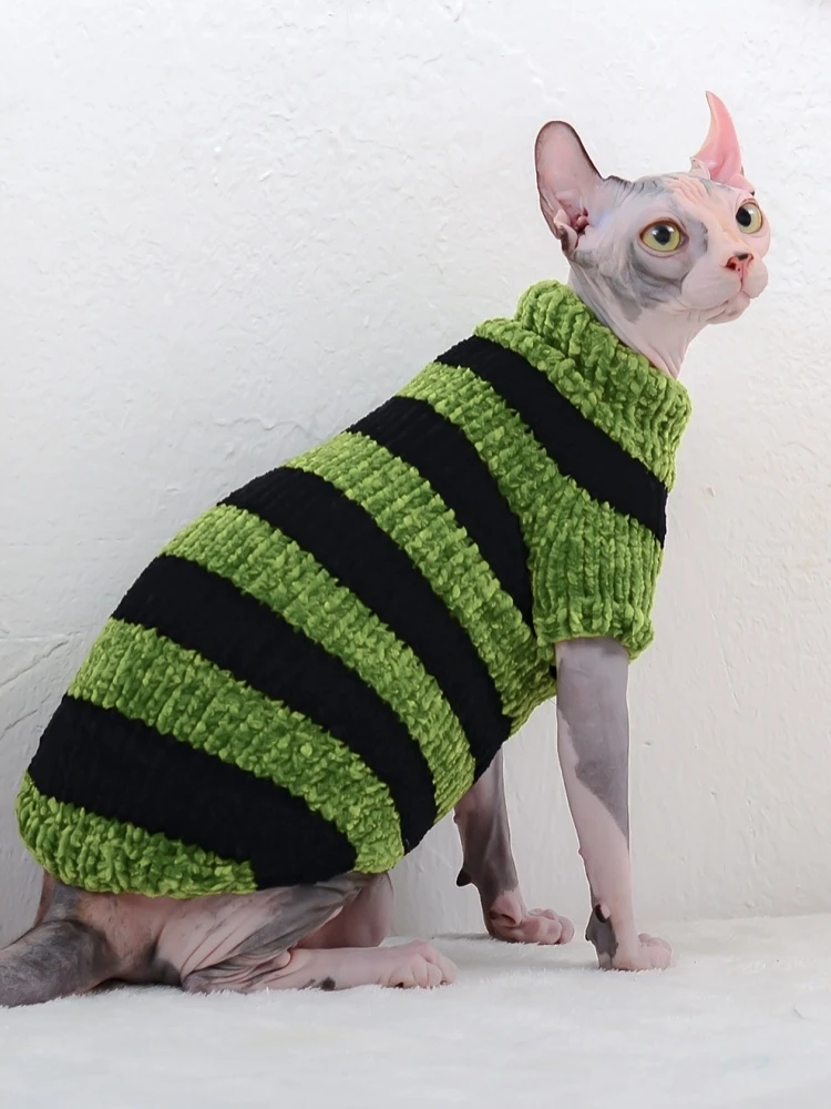 Mascota con suéter cómodo