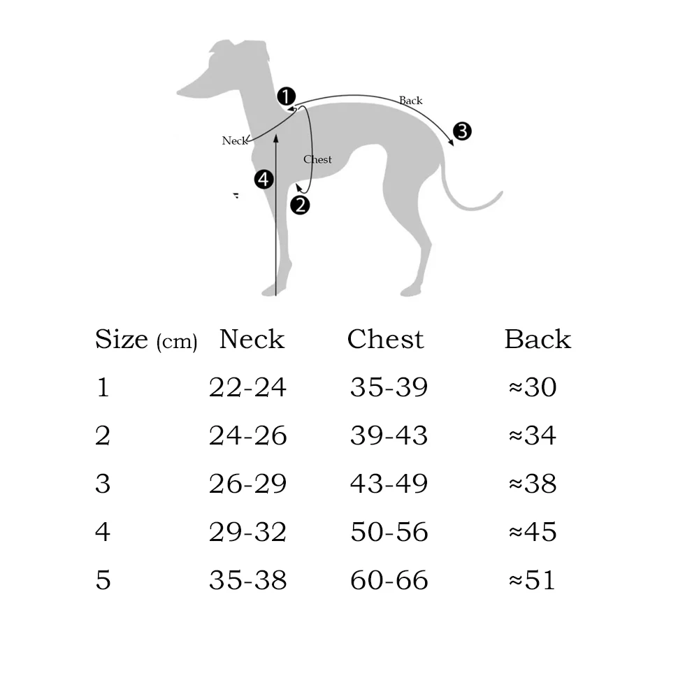 Sudadera verde menta cuello alto para galgo italiano