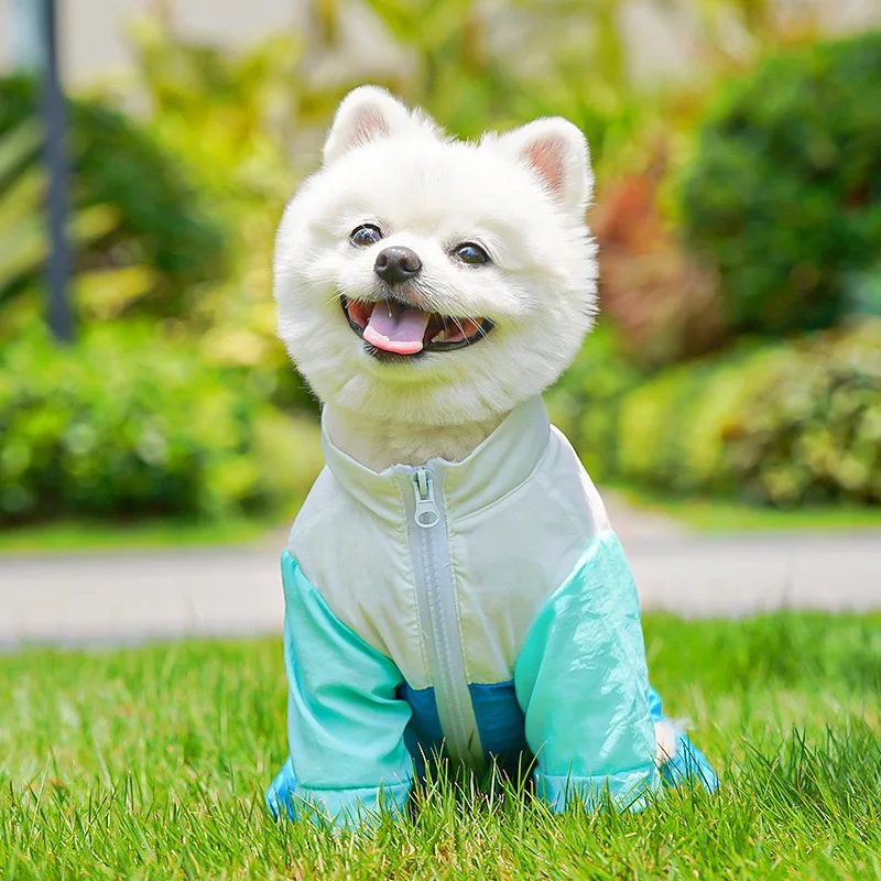 Sudadera ligera para York y bulldog francés – Gato y perro con cuello alto y anti-viento - imagen 2