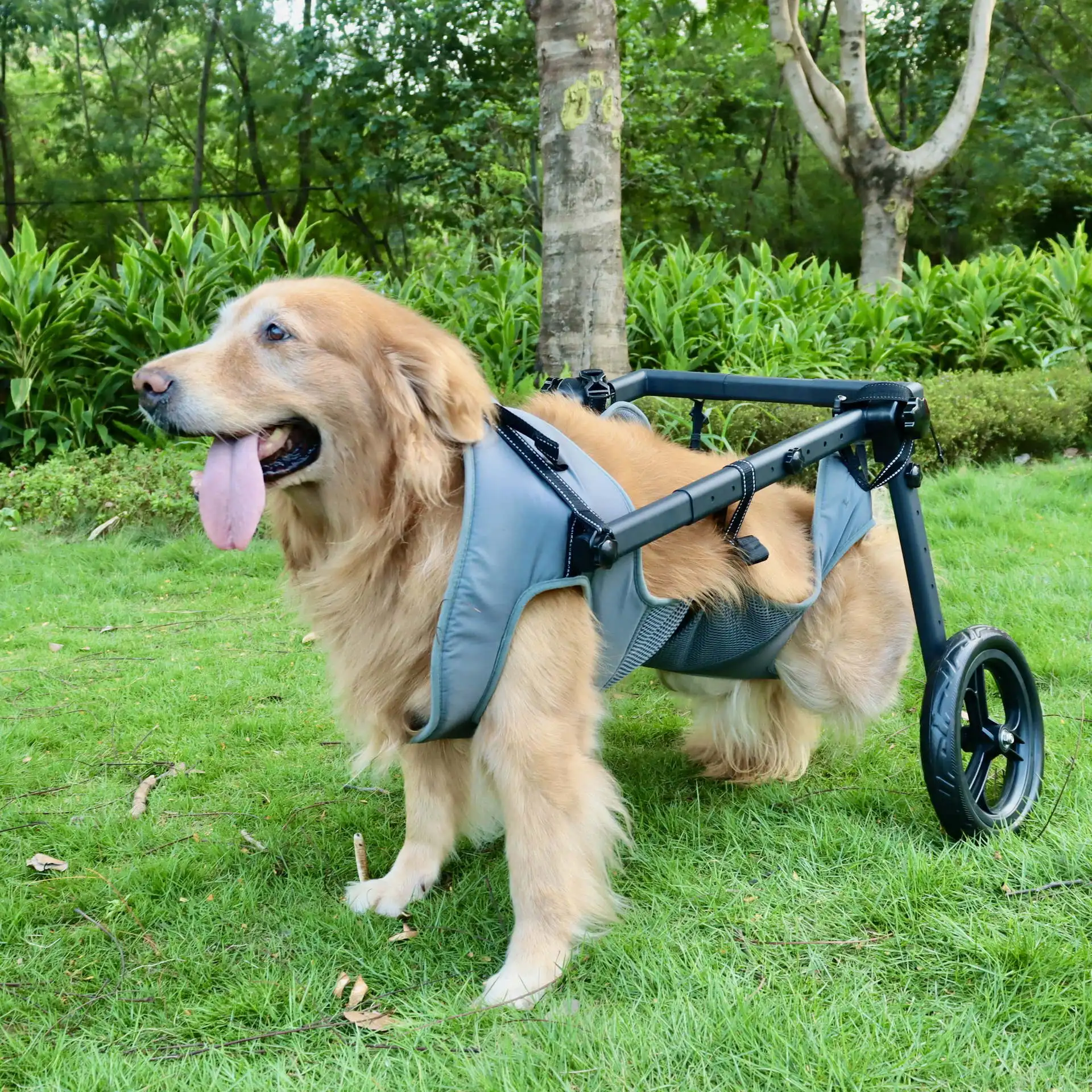 Silla de ruedas para perros en gris