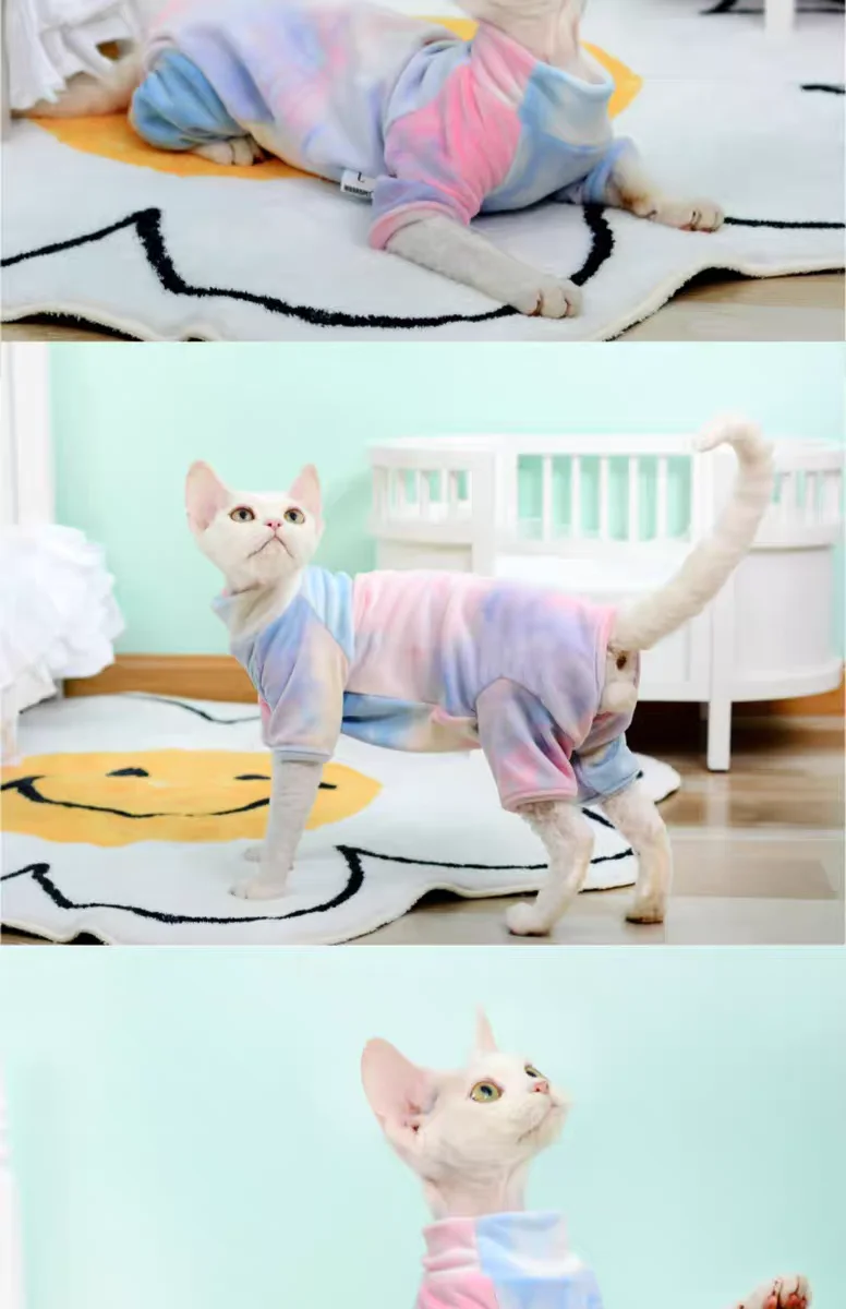 Gato con talla y ajuste