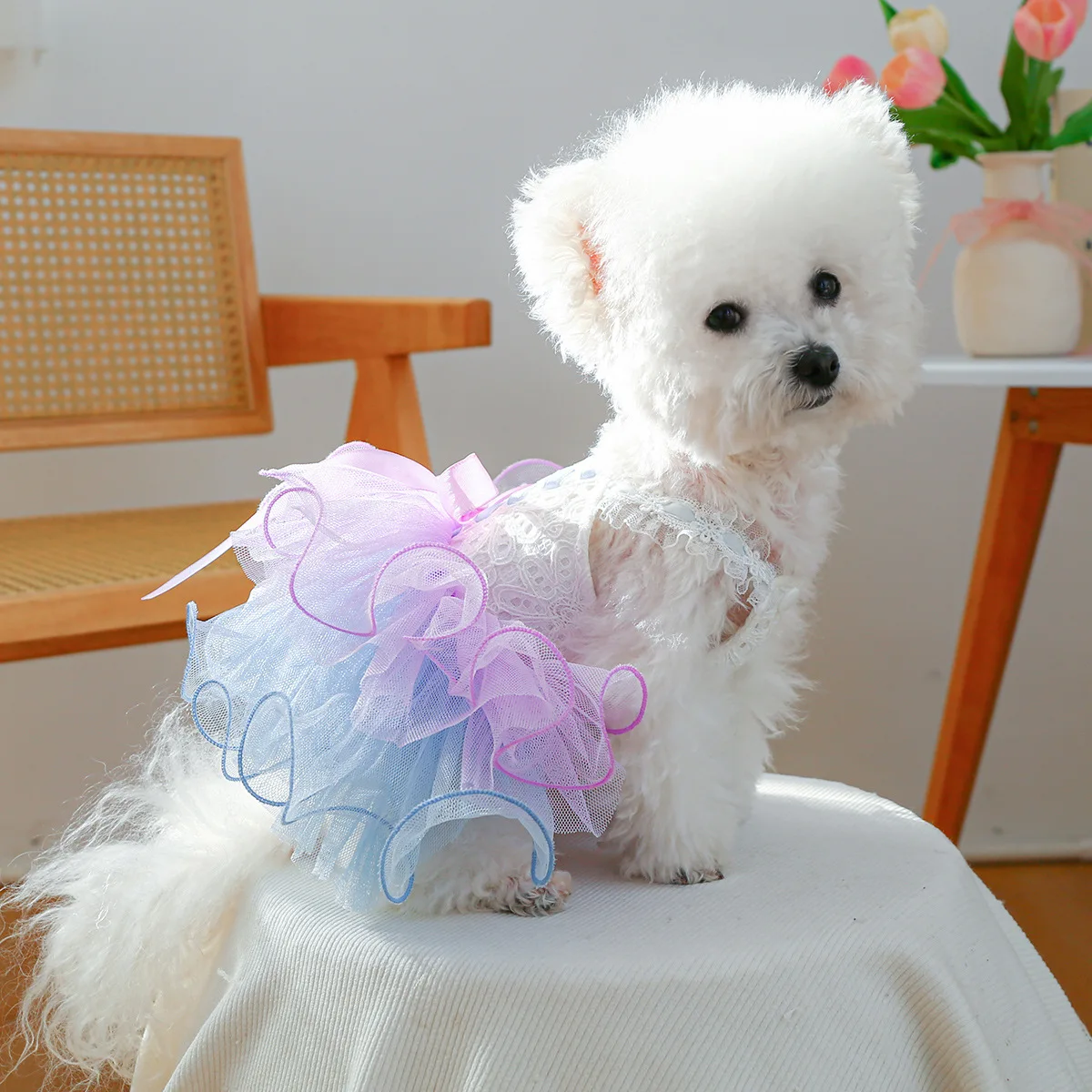 Vestido de encaje negro con lazo y tul para perro y gato fiesta - imagen 3