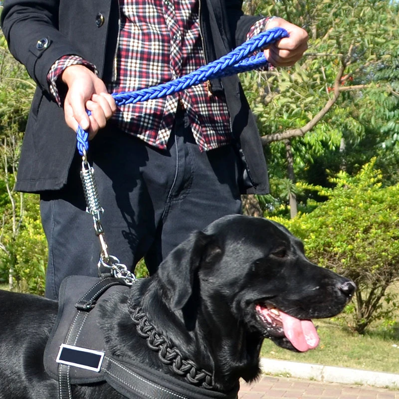 Correa resistente para perros con amortiguador de resorte de nailon - imagen 5