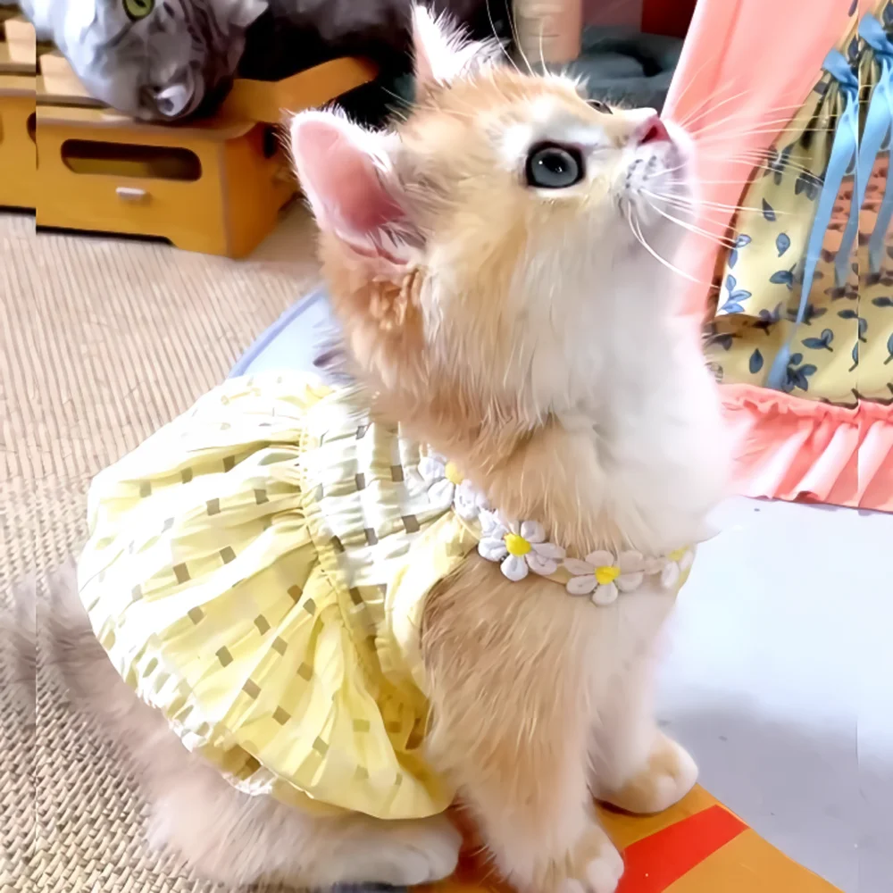 Falda veraniega para perro pequeño con estampado floral