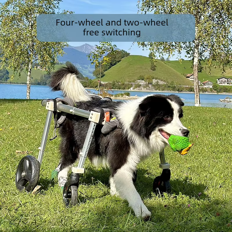 Silla de ruedas para perros con movilidad reducida – Ayuda para caminar - imagen 5