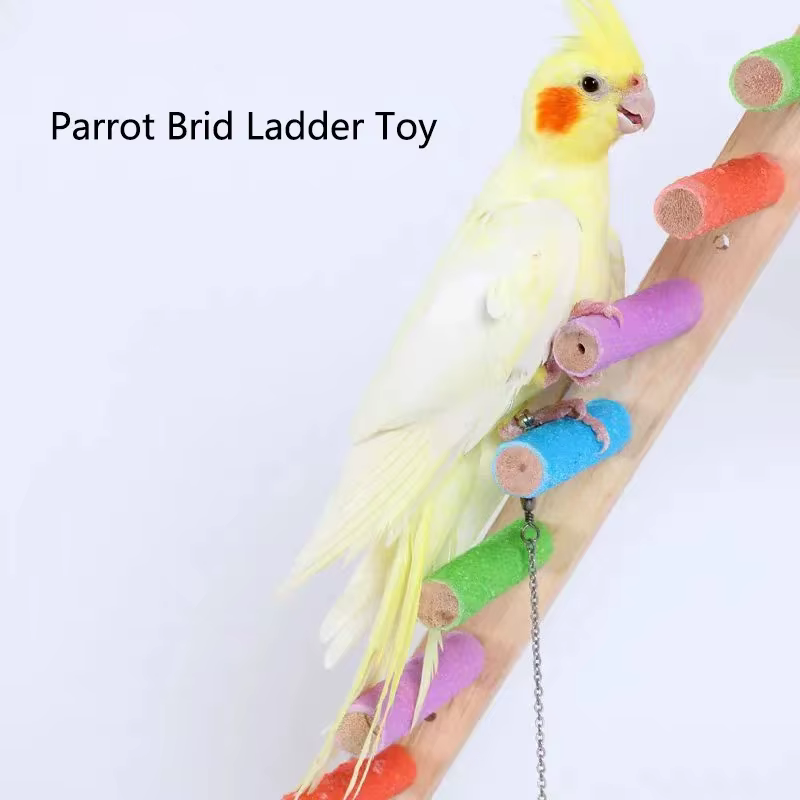 Escalera multijuguete para loros y aves pequeñas – Columpio y peldaños interactivos - imagen 5