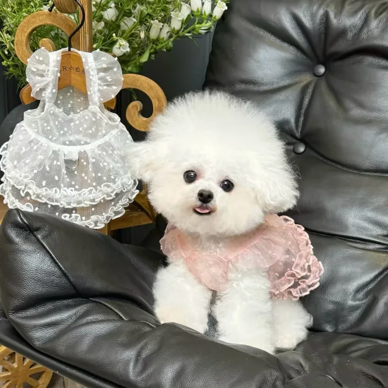 Detalle de encaje en la falda del vestido para perros pequeños
