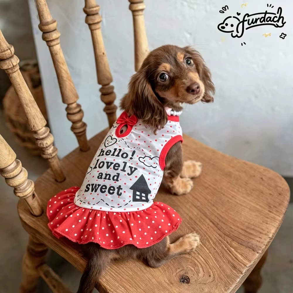 Vestido rústico con lazo para gatos y perros: falda verano - imagen 4
