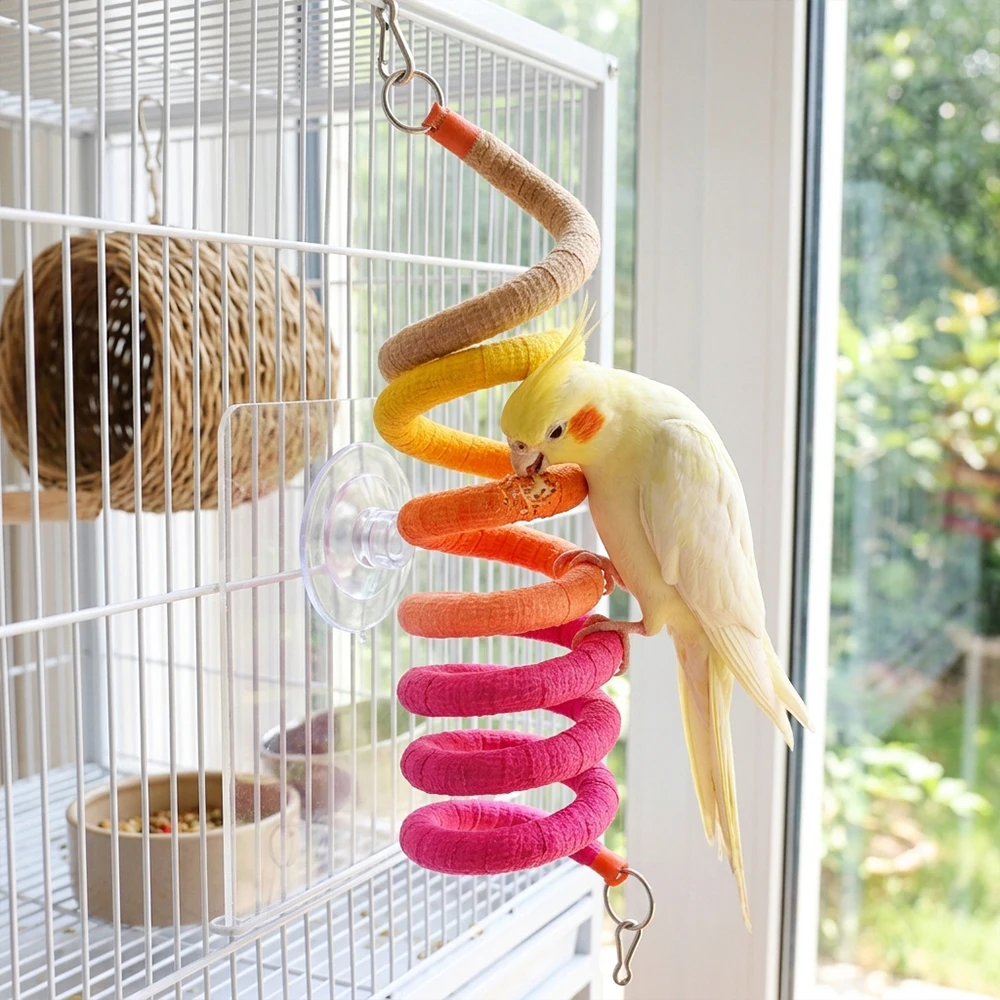 Juguete espiral de cuerda con ventosa para loros y agapornis - imagen 2