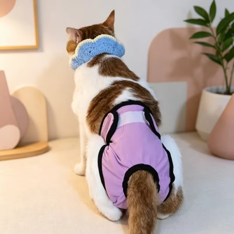 Pañales fisiológicos reutilizables para perros y gatos