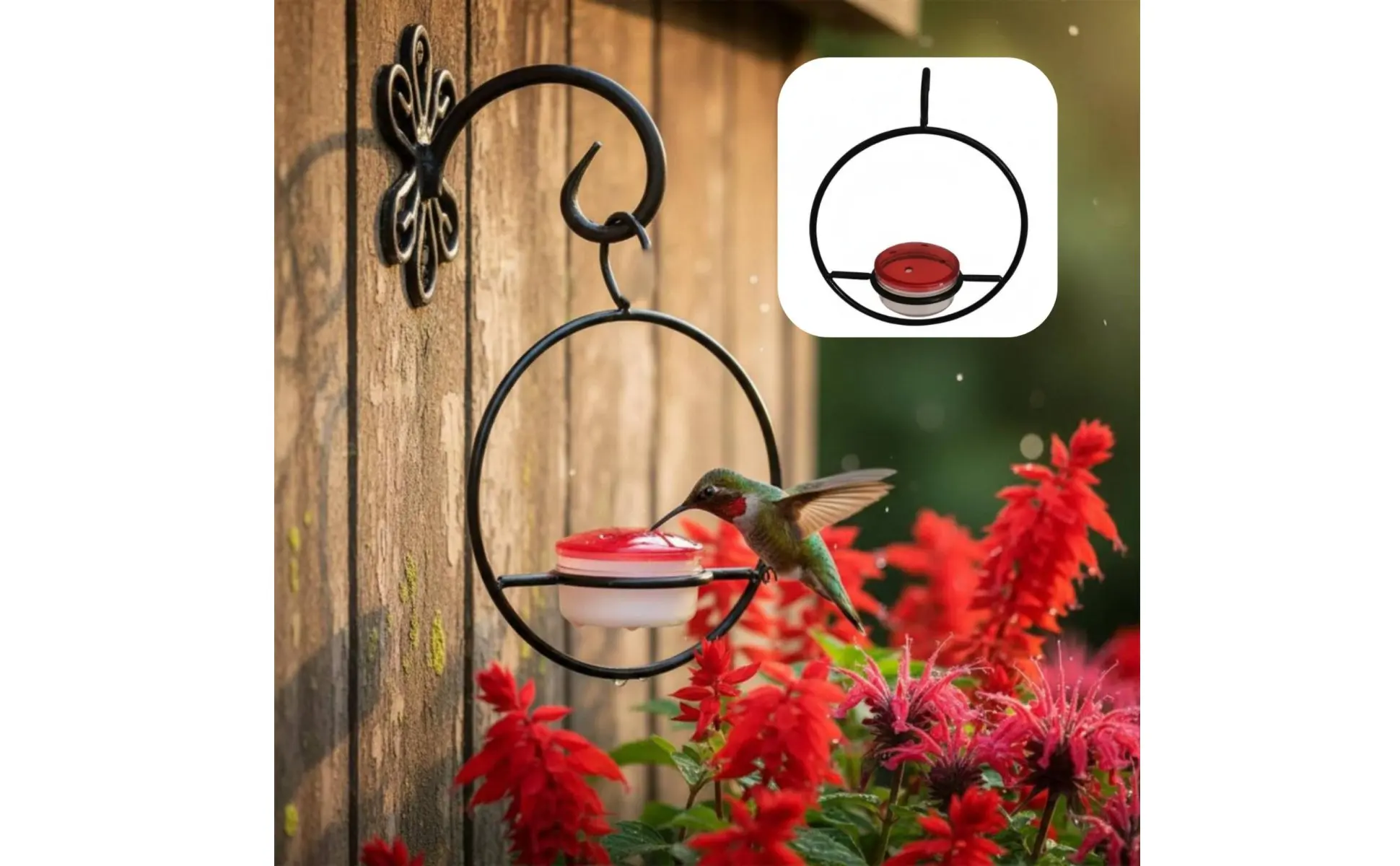 Juego de 3 comederos colgantes para pájaros pequeños con diseño rojo