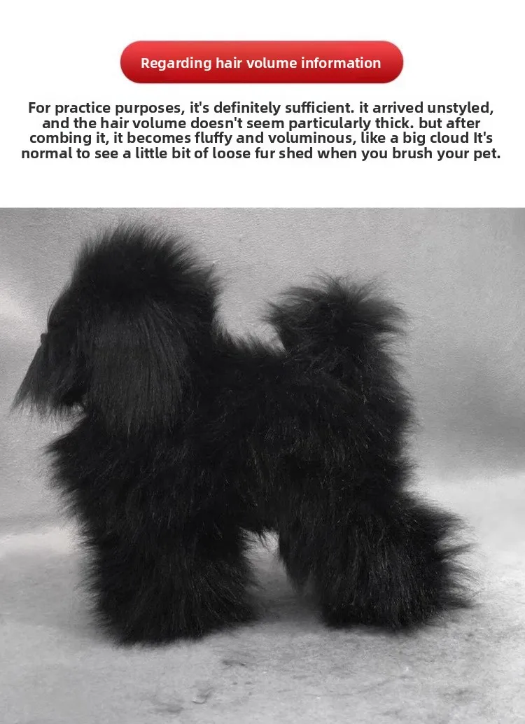 Práctica de peinado en cabeza canina