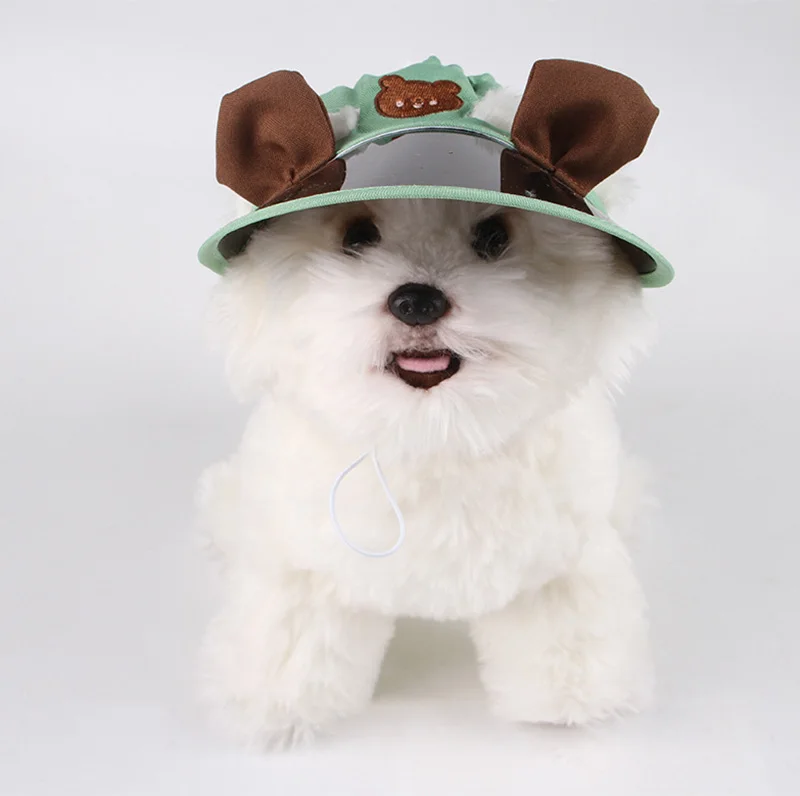 Mascota jugando con el gorro puesto en un área de césped