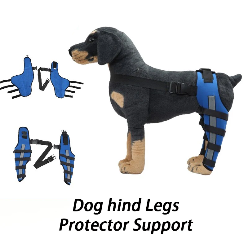 Soporte patas traseras para perros grandes: ayuda al caminar - imagen 3