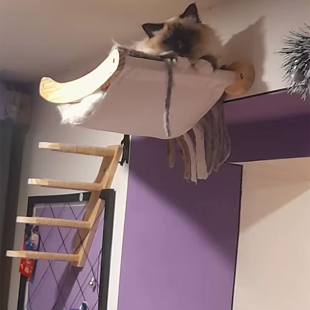 Estructura de escalada mural para gatos con hamaca y poste de sisal - imagen 3