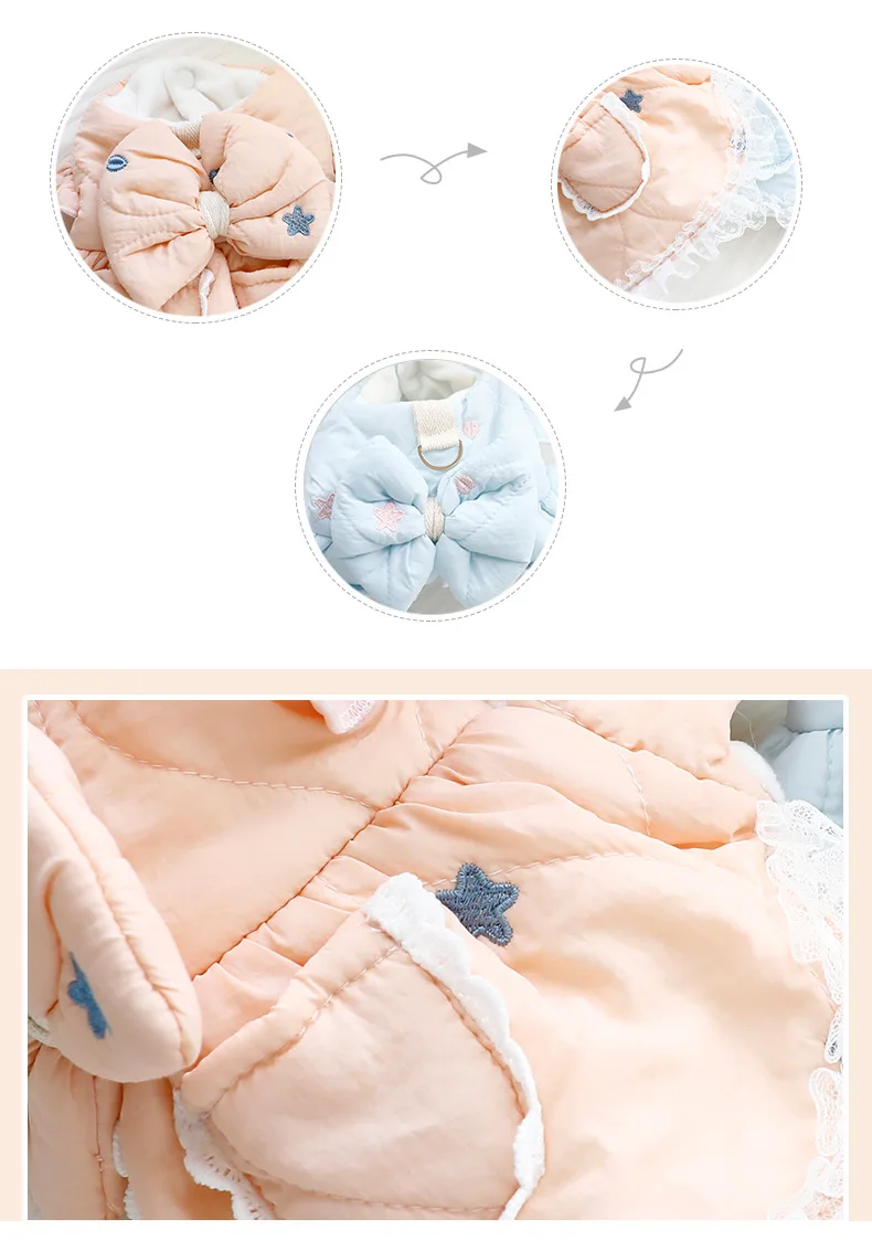 Mascota con vestido de invierno