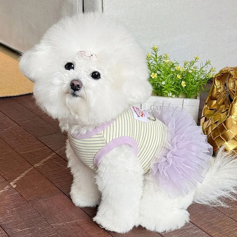 Ropa de verano sin mangas para perros York, vestido tul tutú - imagen 2