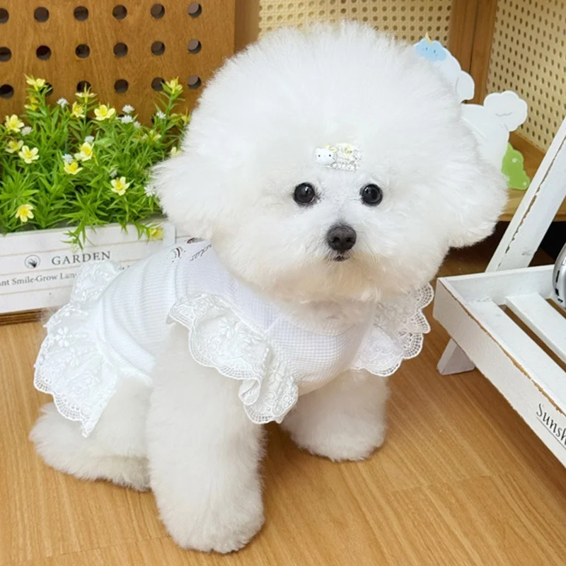 Vestido princesa para perros y gatos – Falda de encaje con brillo para Bichón - imagen 4