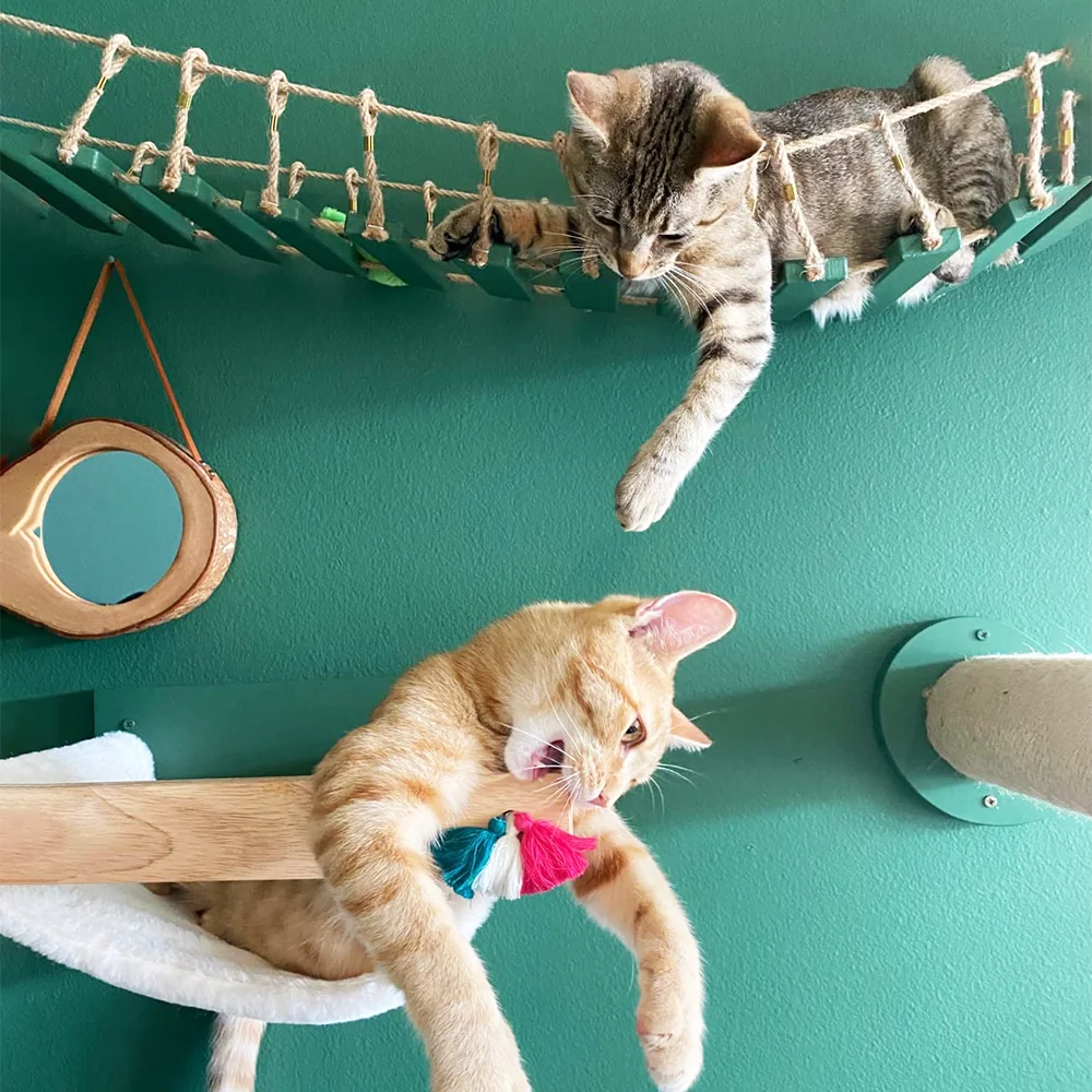 Estantes y perchas de madera para gatos