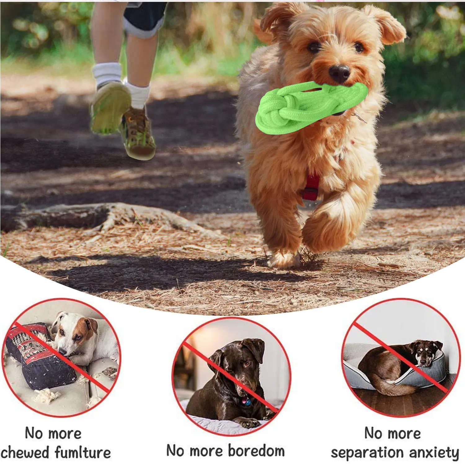 Juguete de masticar para perros con Zapata de algodón