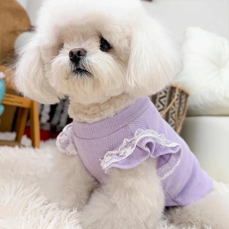 Chihuahua vistiendo la camiseta transpirable de verano, ajuste cómodo y estiloso