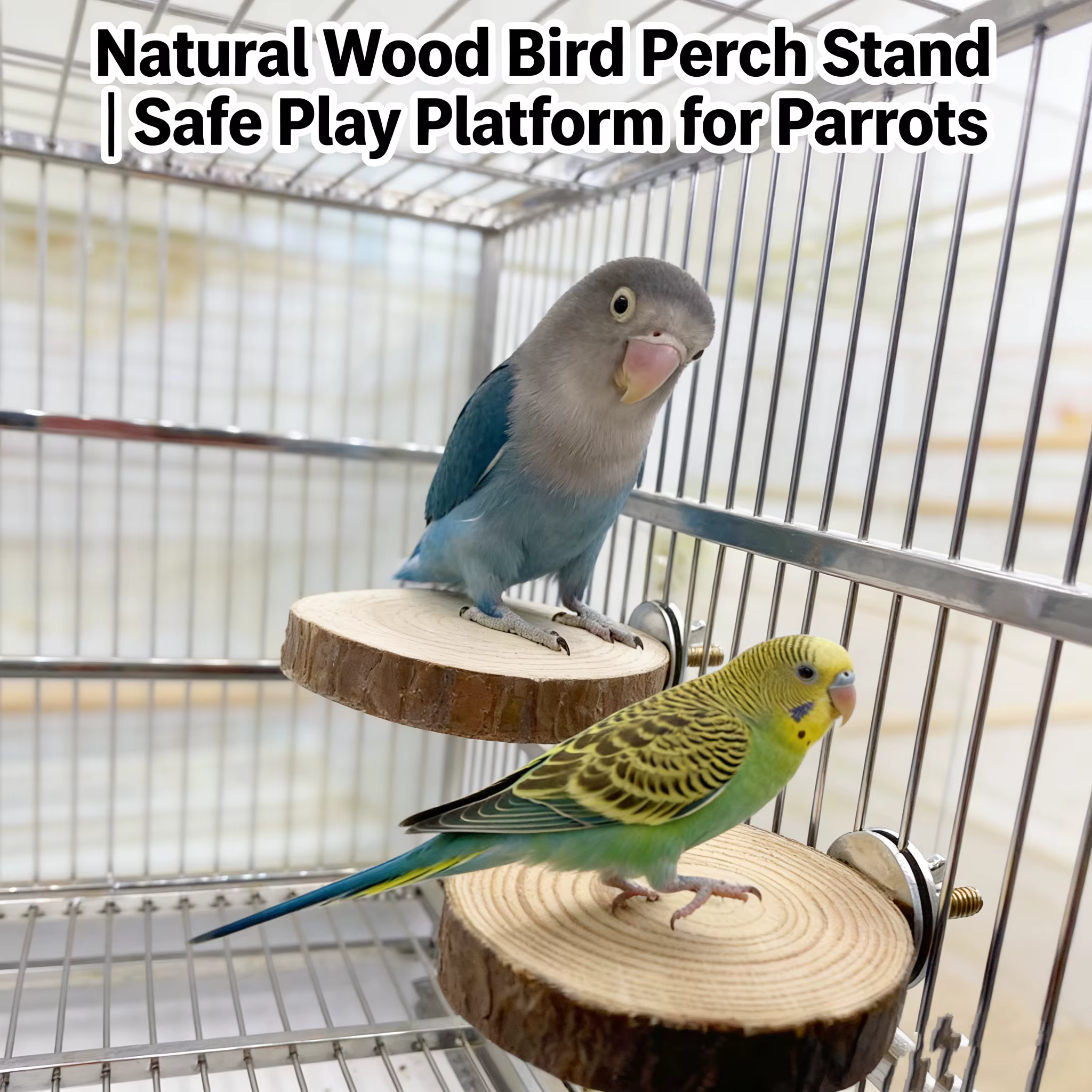 Percha de madera natural para aves: soporte de jaula, periquitos - imagen 5