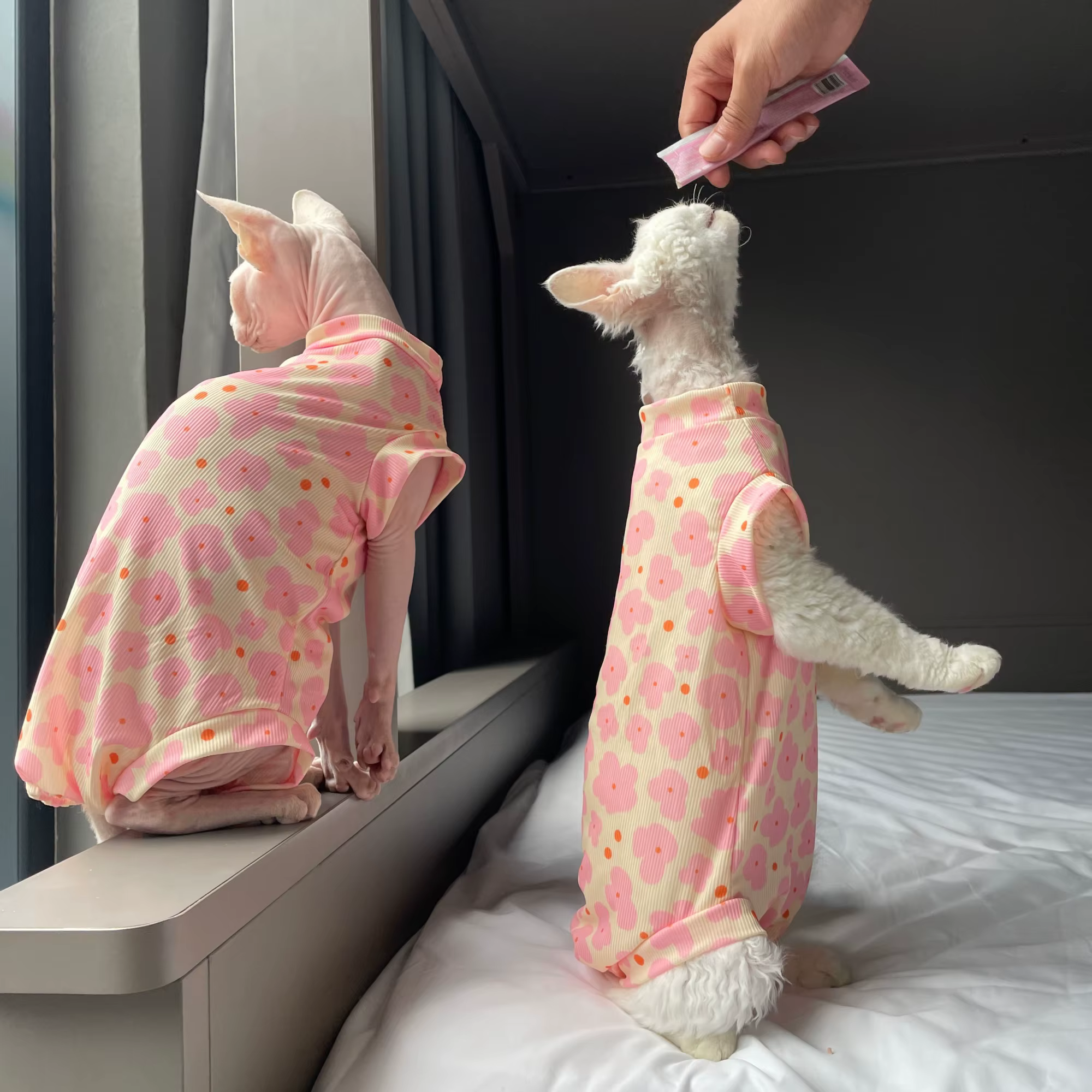 Pijama mono floral rosa para gatos Sphynx, suave y elástico - imagen 2