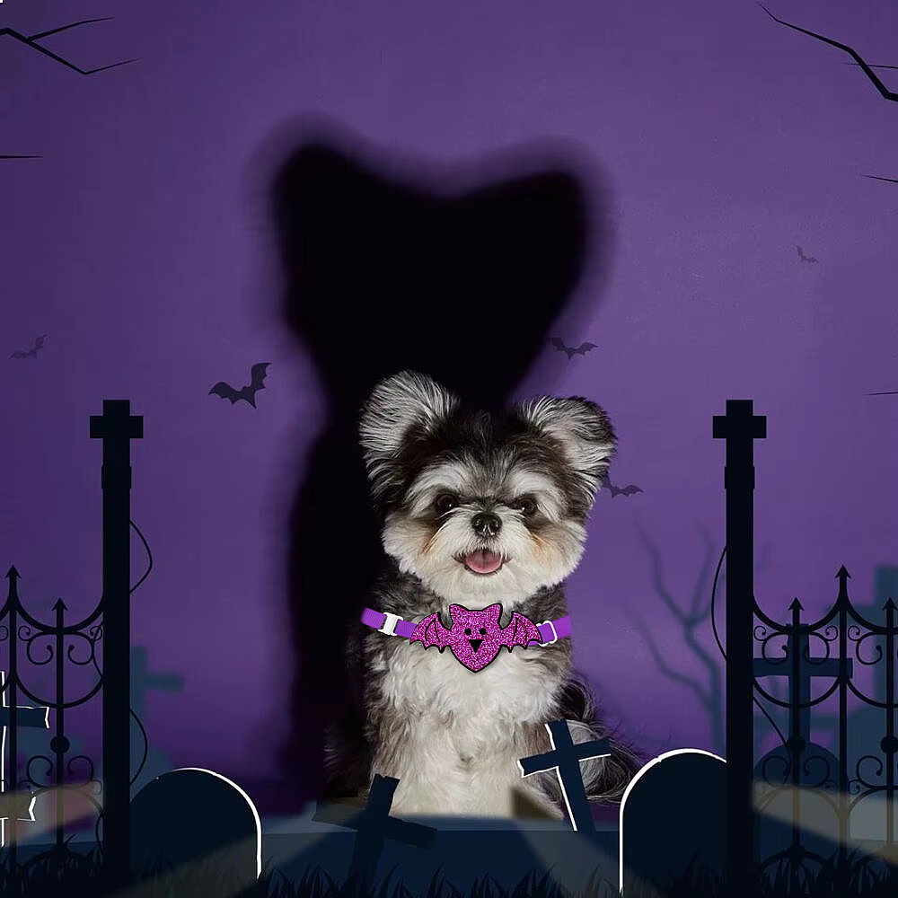Halloween para perro: collar ajustable con lazo esqueleto y calabaza - imagen 3