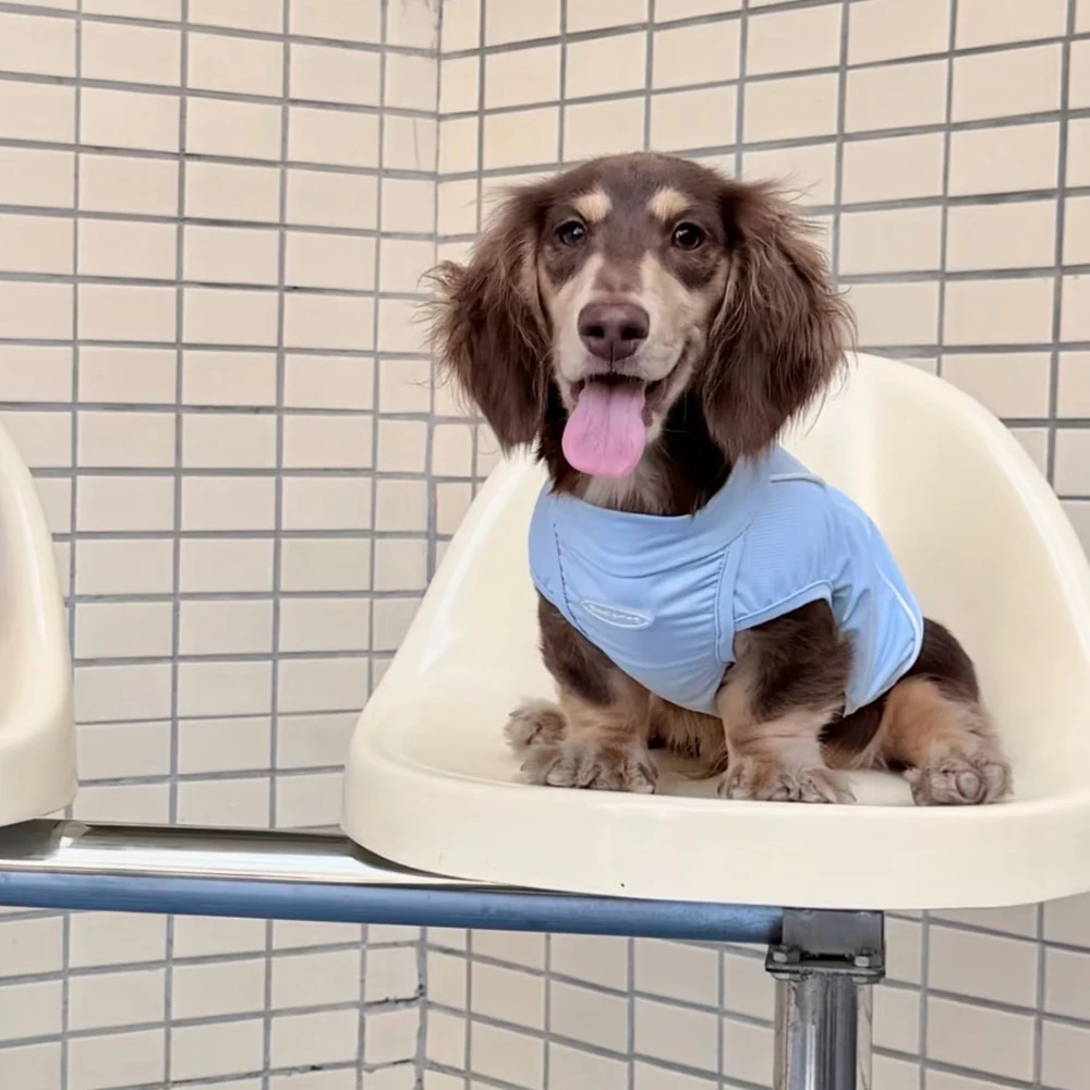 Chaleco transpirable para perros salchicha, suave y fresco