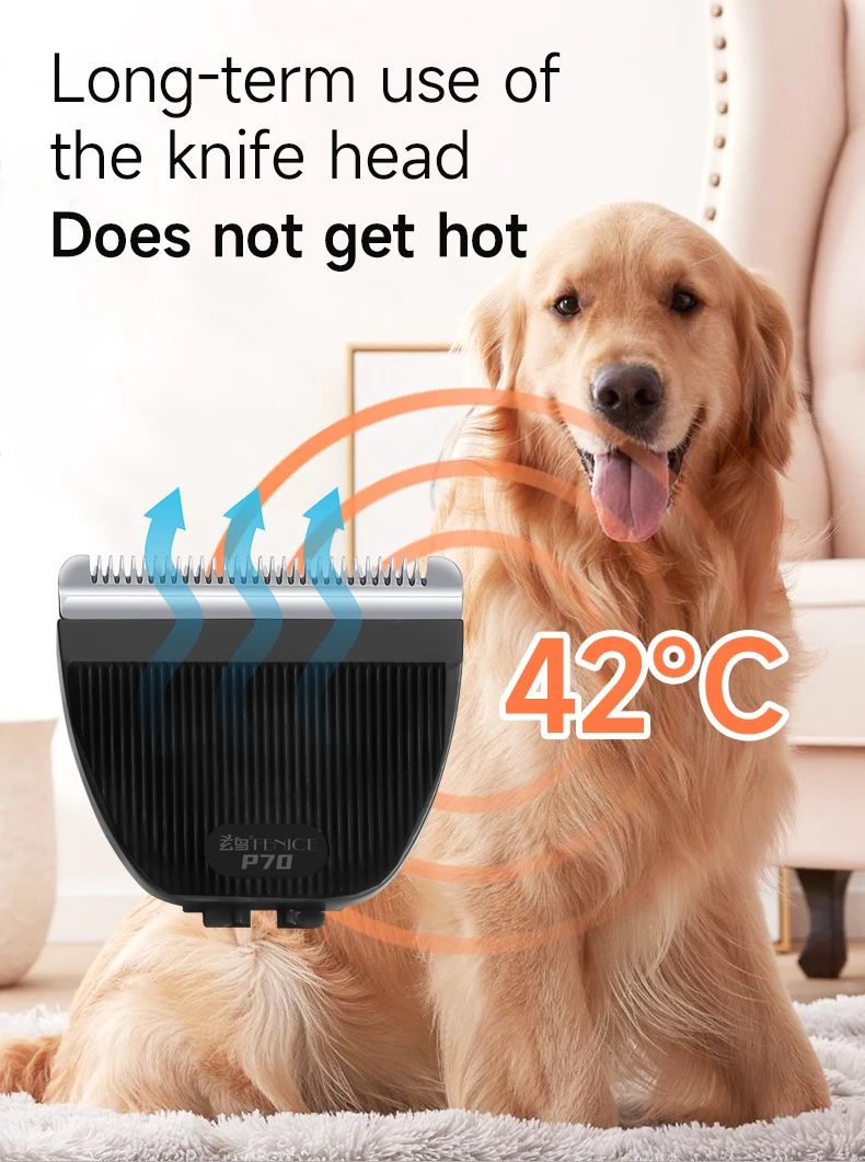 Comparativa de hojas