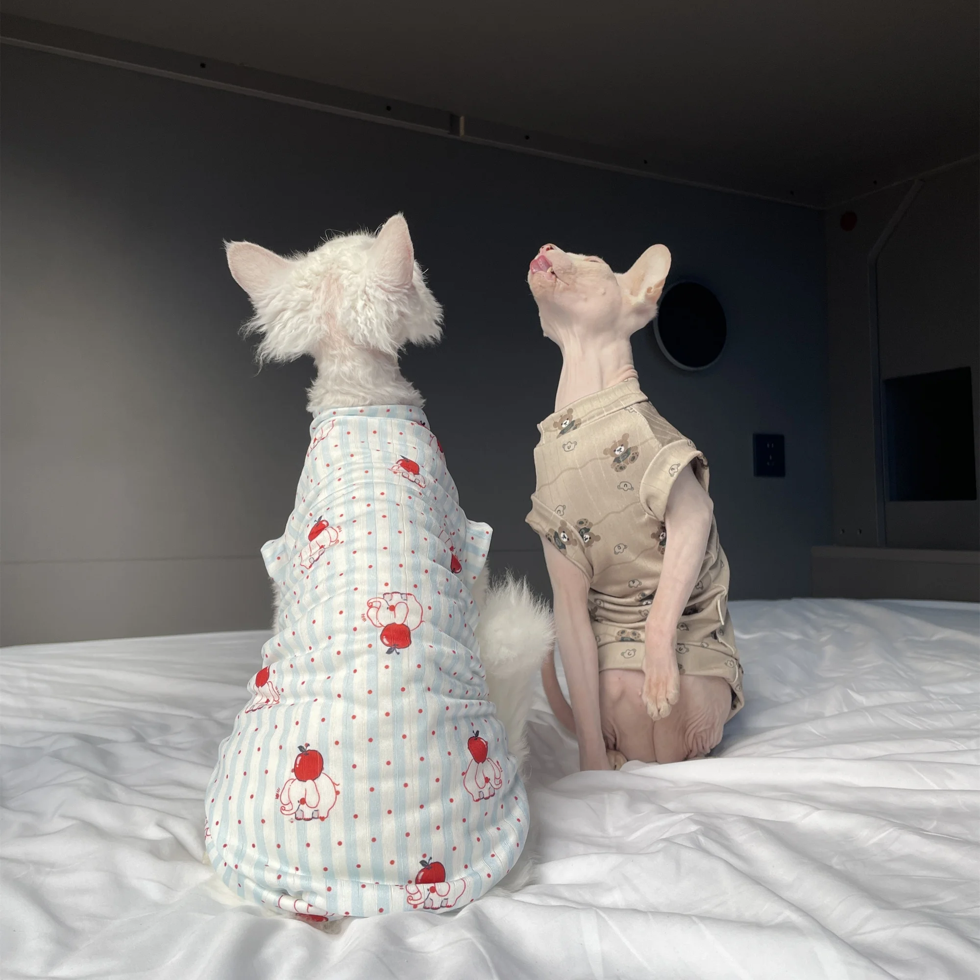 Camiseta transpirable de verano para gatos Sphynx y Devon Rex - imagen 5