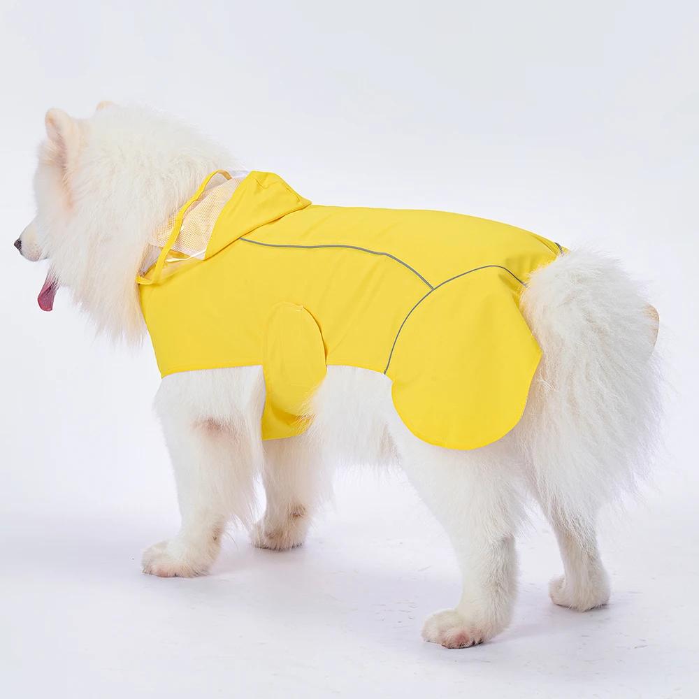 Perro con impermeable amarillo
