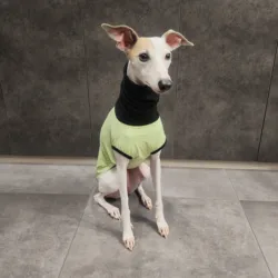Camiseta verano perro UPF 100+ galgos y whippets, cuello alto