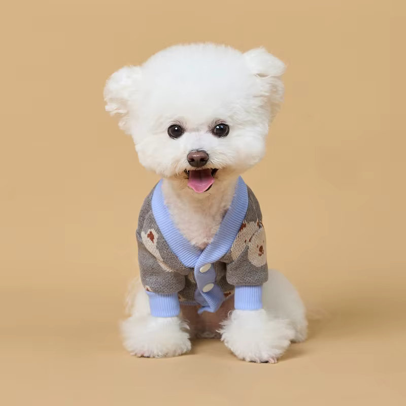 Suéter para Perro y Gato – Cárdigan de Oso para Razas Pequeñas - imagen 5